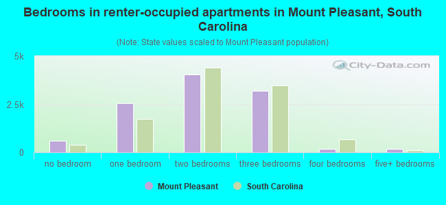 Bedrooms in renter-occupied apartments in Mount Pleasant, South Carolina