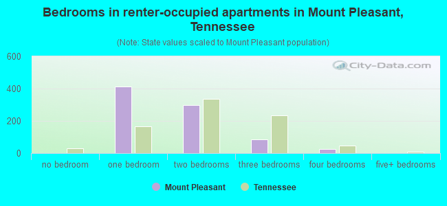 Bedrooms in renter-occupied apartments in Mount Pleasant, Tennessee