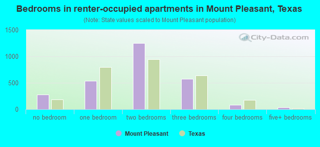 Bedrooms in renter-occupied apartments in Mount Pleasant, Texas