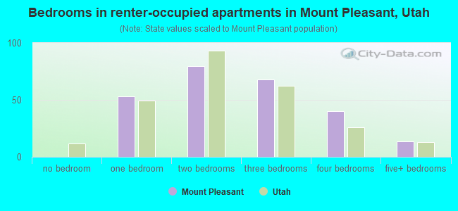 Bedrooms in renter-occupied apartments in Mount Pleasant, Utah