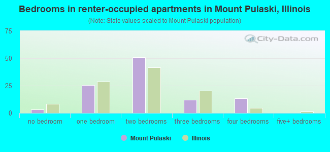 Bedrooms in renter-occupied apartments in Mount Pulaski, Illinois