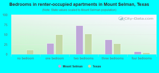 Bedrooms in renter-occupied apartments in Mount Selman, Texas