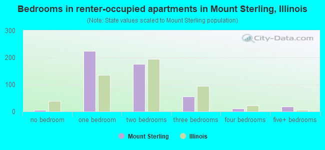 Bedrooms in renter-occupied apartments in Mount Sterling, Illinois