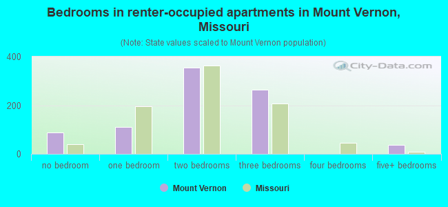 Bedrooms in renter-occupied apartments in Mount Vernon, Missouri