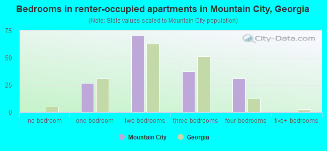 Bedrooms in renter-occupied apartments in Mountain City, Georgia