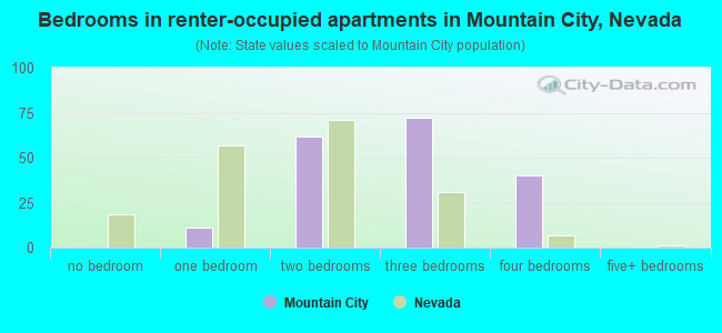 Bedrooms in renter-occupied apartments in Mountain City, Nevada