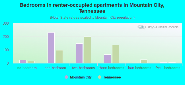 Bedrooms in renter-occupied apartments in Mountain City, Tennessee
