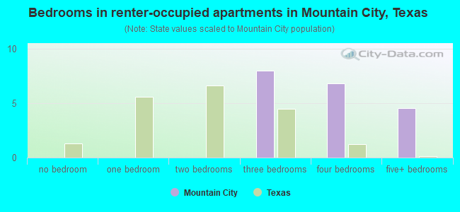 Bedrooms in renter-occupied apartments in Mountain City, Texas