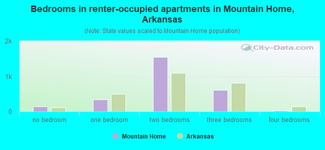 Bedrooms in renter-occupied apartments in Mountain Home, Arkansas