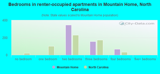 Bedrooms in renter-occupied apartments in Mountain Home, North Carolina