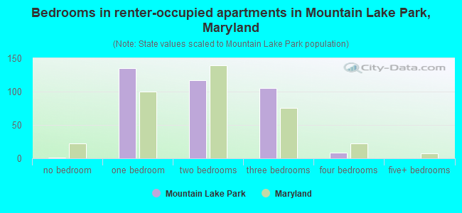 Bedrooms in renter-occupied apartments in Mountain Lake Park, Maryland