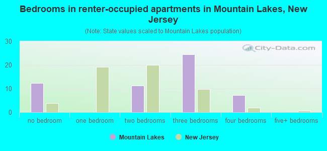 Bedrooms in renter-occupied apartments in Mountain Lakes, New Jersey