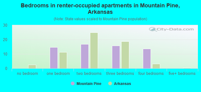 Bedrooms in renter-occupied apartments in Mountain Pine, Arkansas