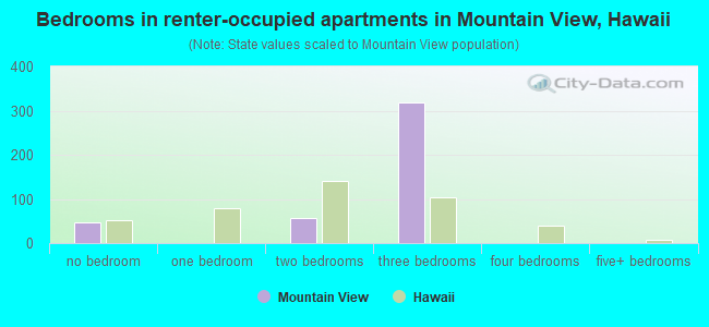 Bedrooms in renter-occupied apartments in Mountain View, Hawaii