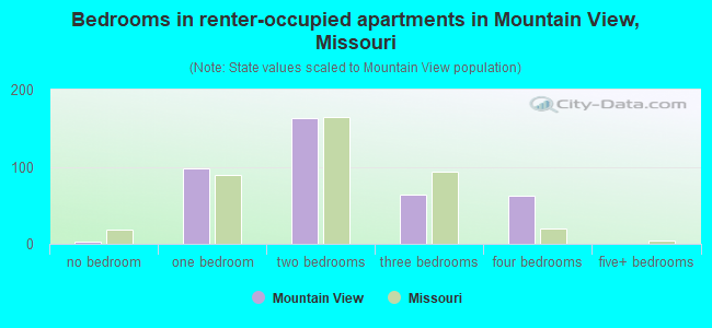 Bedrooms in renter-occupied apartments in Mountain View, Missouri