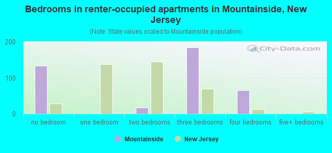 Bedrooms in renter-occupied apartments in Mountainside, New Jersey