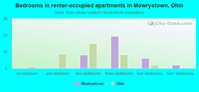 Bedrooms in renter-occupied apartments in Mowrystown, Ohio
