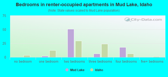 Bedrooms in renter-occupied apartments in Mud Lake, Idaho