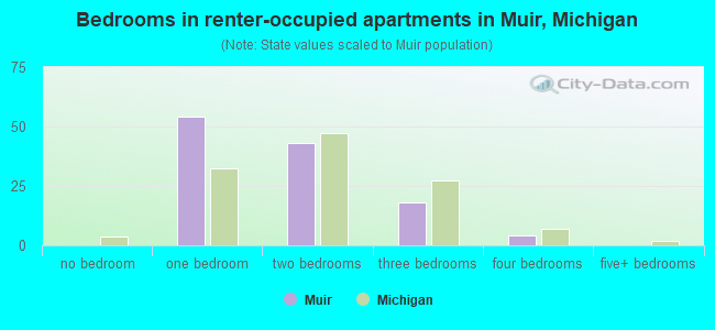 Bedrooms in renter-occupied apartments in Muir, Michigan