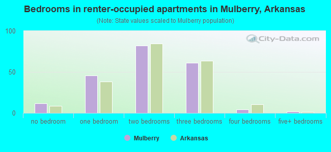 Bedrooms in renter-occupied apartments in Mulberry, Arkansas