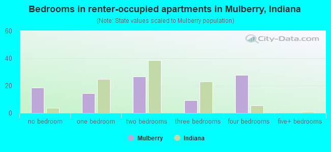 Bedrooms in renter-occupied apartments in Mulberry, Indiana