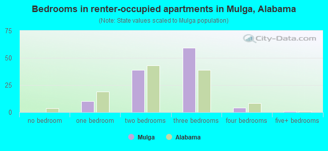 Bedrooms in renter-occupied apartments in Mulga, Alabama