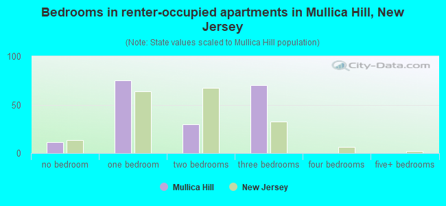 Bedrooms in renter-occupied apartments in Mullica Hill, New Jersey