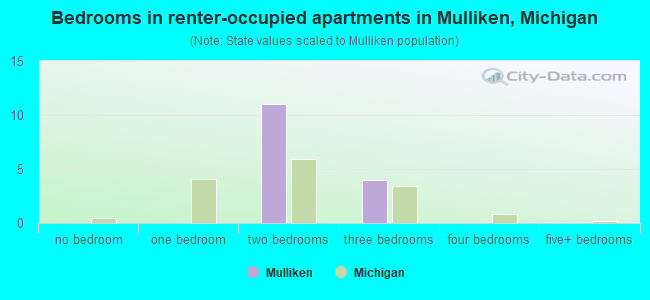 Bedrooms in renter-occupied apartments in Mulliken, Michigan