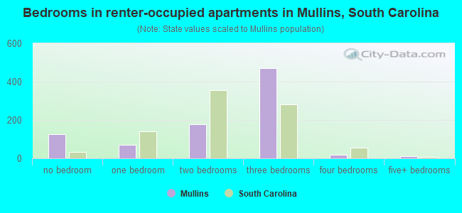 Bedrooms in renter-occupied apartments in Mullins, South Carolina