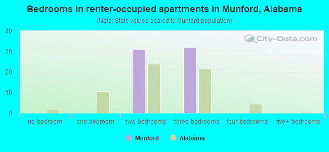 Bedrooms in renter-occupied apartments in Munford, Alabama