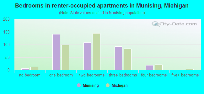 Bedrooms in renter-occupied apartments in Munising, Michigan