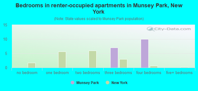 Bedrooms in renter-occupied apartments in Munsey Park, New York
