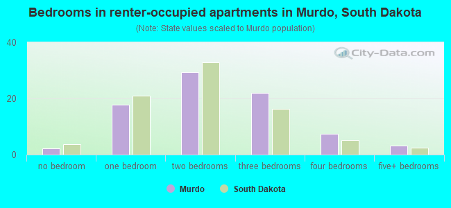 Bedrooms in renter-occupied apartments in Murdo, South Dakota