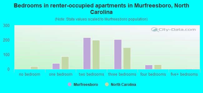 Bedrooms in renter-occupied apartments in Murfreesboro, North Carolina