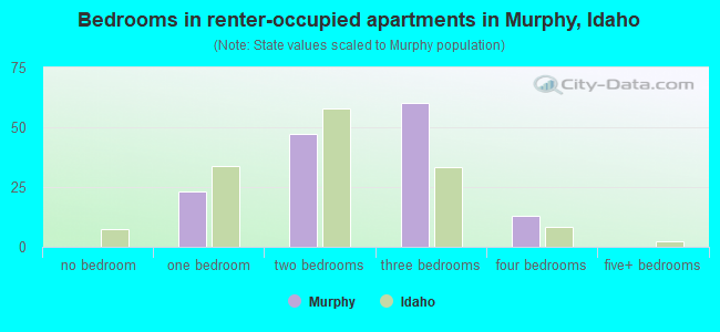 Bedrooms in renter-occupied apartments in Murphy, Idaho