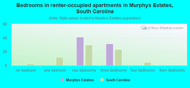 Bedrooms in renter-occupied apartments in Murphys Estates, South Carolina