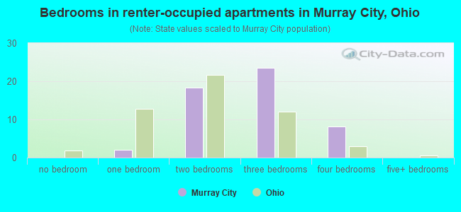Bedrooms in renter-occupied apartments in Murray City, Ohio