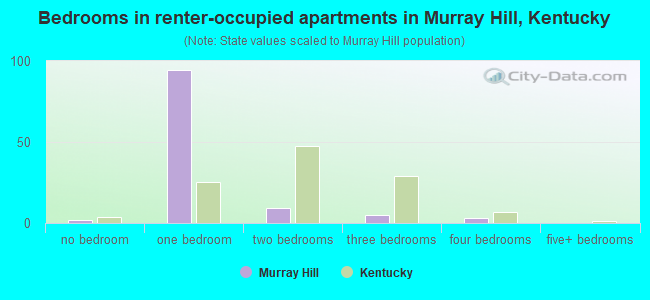 Bedrooms in renter-occupied apartments in Murray Hill, Kentucky