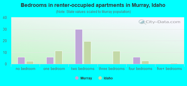 Bedrooms in renter-occupied apartments in Murray, Idaho