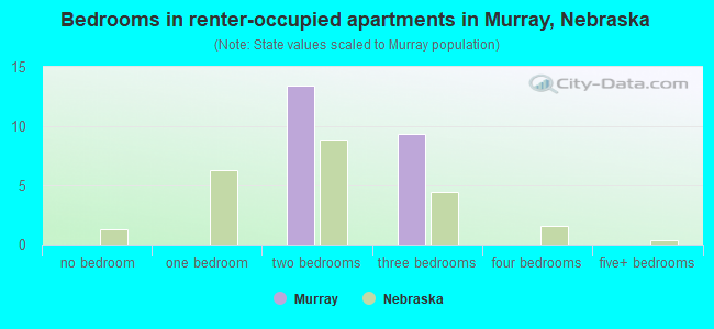 Bedrooms in renter-occupied apartments in Murray, Nebraska