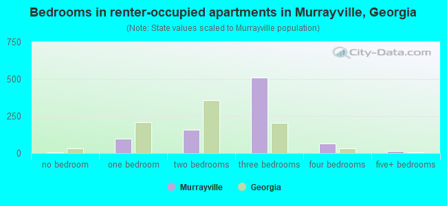 Bedrooms in renter-occupied apartments in Murrayville, Georgia