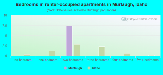 Bedrooms in renter-occupied apartments in Murtaugh, Idaho