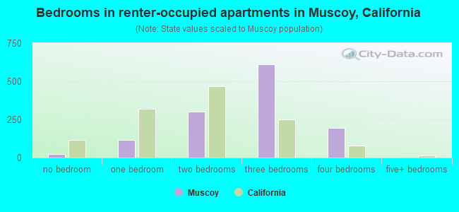 Bedrooms in renter-occupied apartments in Muscoy, California