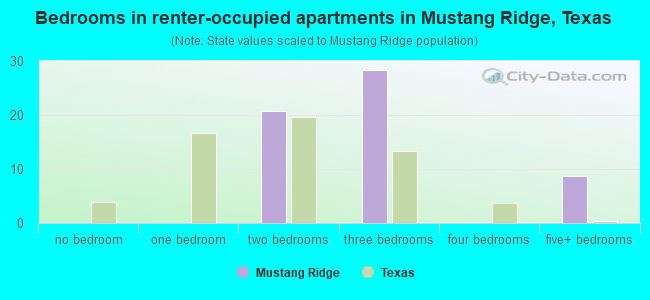 Bedrooms in renter-occupied apartments in Mustang Ridge, Texas