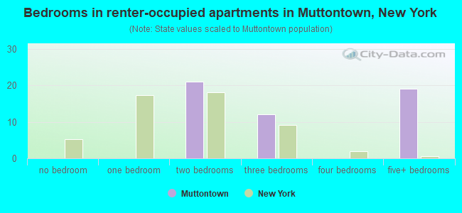 Bedrooms in renter-occupied apartments in Muttontown, New York