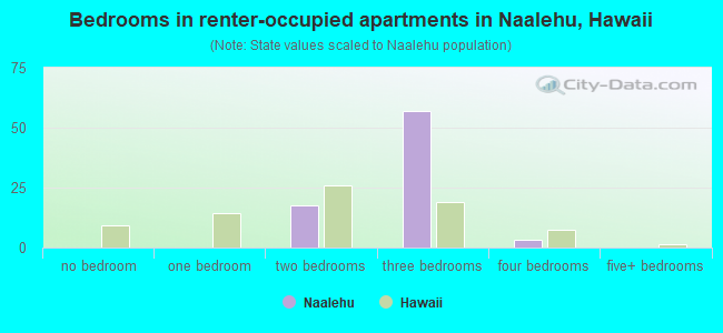 Bedrooms in renter-occupied apartments in Naalehu, Hawaii