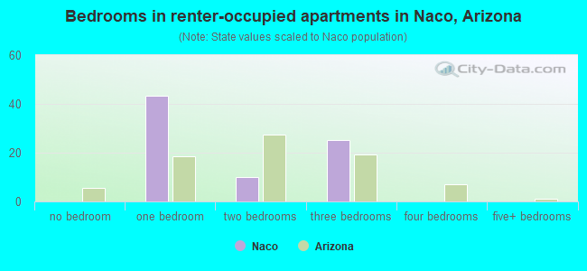 Bedrooms in renter-occupied apartments in Naco, Arizona