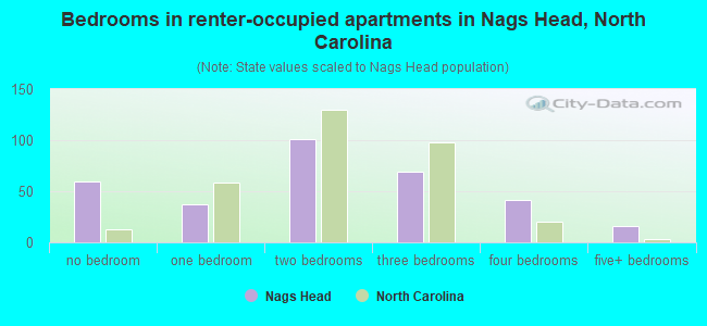 Bedrooms in renter-occupied apartments in Nags Head, North Carolina