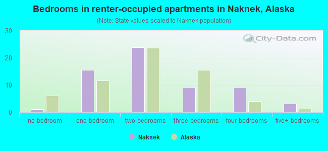 Bedrooms in renter-occupied apartments in Naknek, Alaska