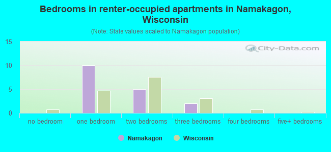 Bedrooms in renter-occupied apartments in Namakagon, Wisconsin